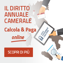 banner diritto annuale online